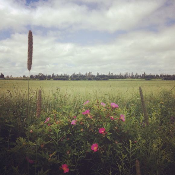 Meet your Posher, Andrea - Picture 1 of 1